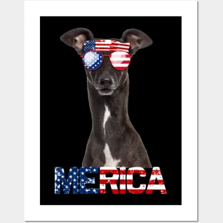 Merica Greyhound Dog American Flag 4Th Of July Posters and Art